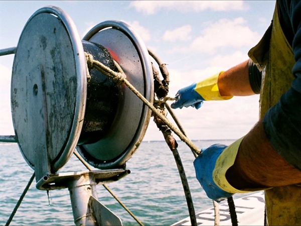 Rush finale per l’approvazione del Ddl Mare: via libera dal Senato. Soddisfazione di Confcooperative Fedagripesca